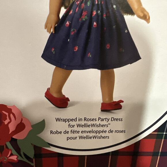 American Girl x Janie And Jack~ Wrapped In Roses Party Dress For Welliewishers - Picture 3 of 8